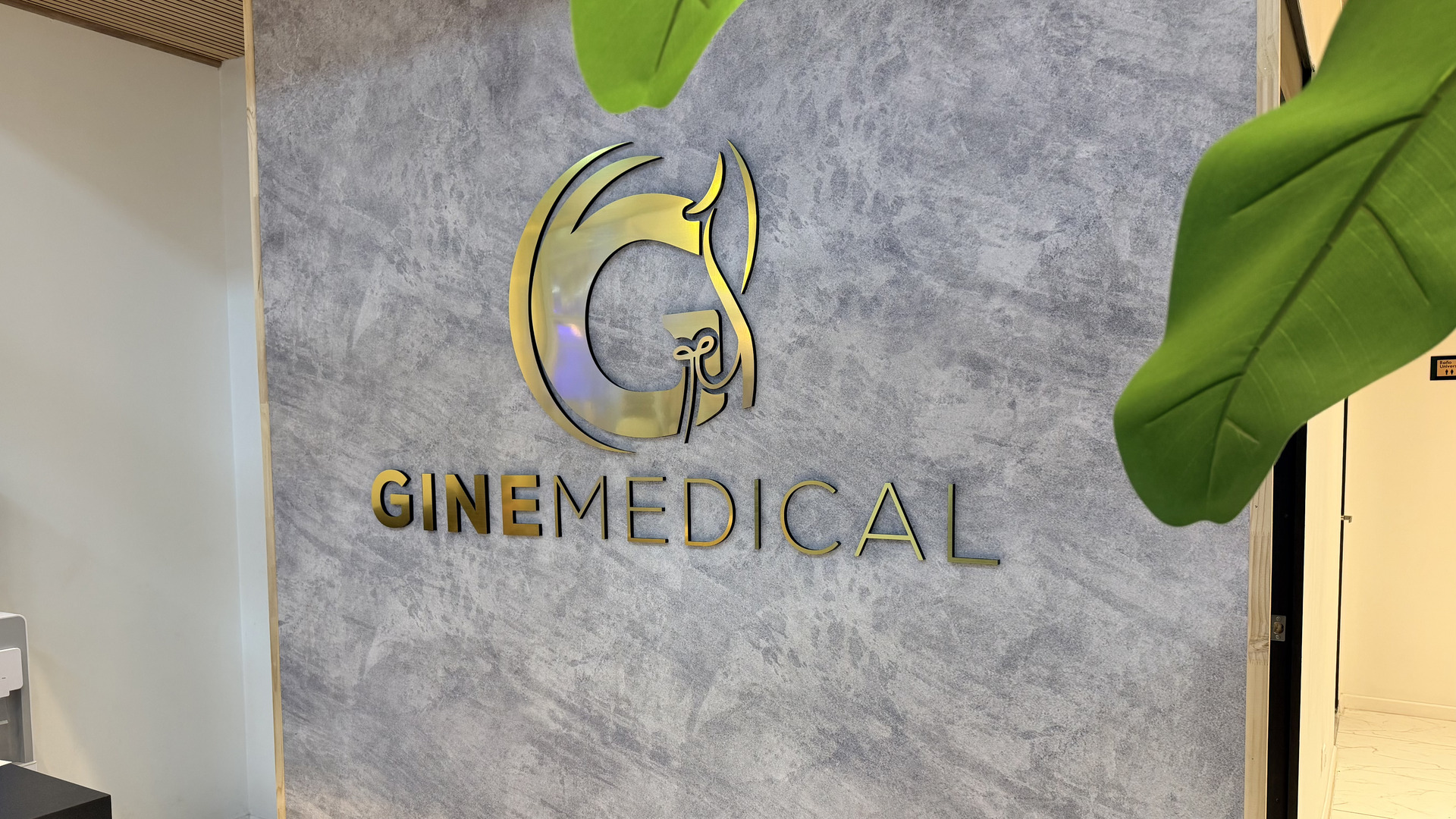 Consulta en GineMedical